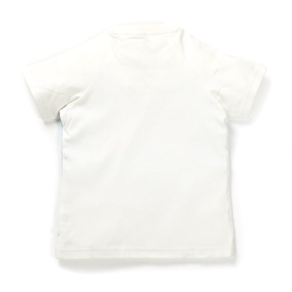 Boys Graphic Printed 100%Organic Cotton T-Shirt With parachute Fun Print- Blue - Image 3