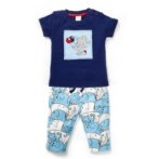 Boys Graphic Printed 100%Organic Cotton T-shirt and Pant Set with Elephant printed patch-Navy