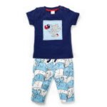Boys Graphic Printed 100%Organic Cotton T-shirt and Pant Set with Elephant printed patch-Navy