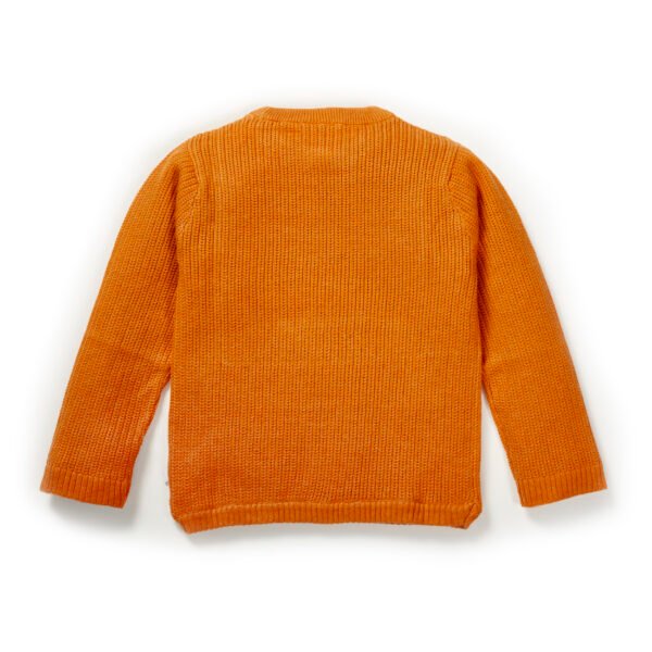 Girls Graphic 100%Organic Cotton little heart embroiderd  Girls Sweater-Orange - Image 3