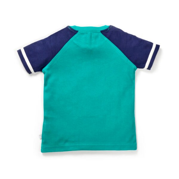 Boys Graphic Printed 100% Organic Cotton T-shirt with Text print-Mint Green - Image 3