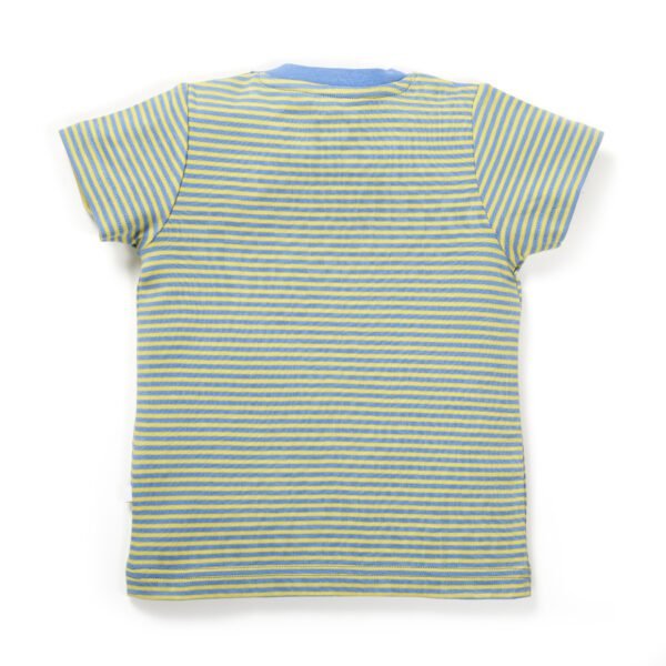 Boys Printed 100%Organic Cotton Elephant & panda Printed Round Neck T-Shirt Combo Pack of 2-Green and Blue - Image 9