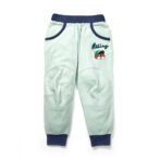 Boys Embroidered 100% Organic Cotton Boys Long Pants with racing Tiger- Lt green