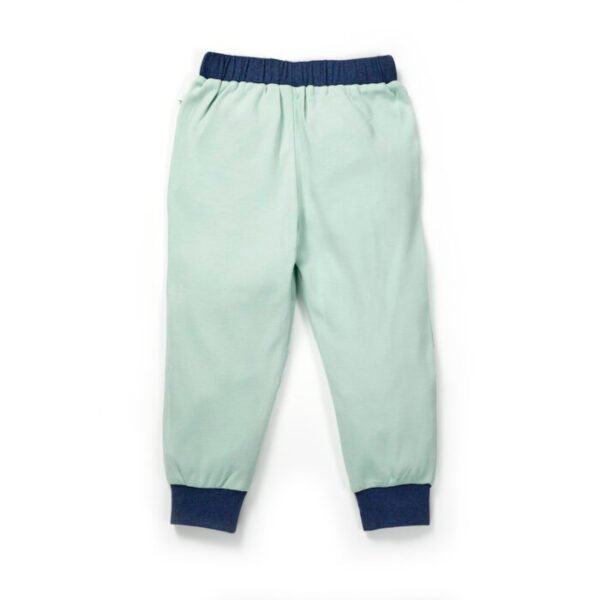 Boys Embroidered 100% Organic Cotton Boys Long Pants with racing Tiger- Lt green - Image 3