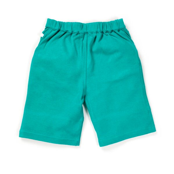 Boys Embroidered 100% Organic Cotton Shorts with little emb- Mint Green - Image 3
