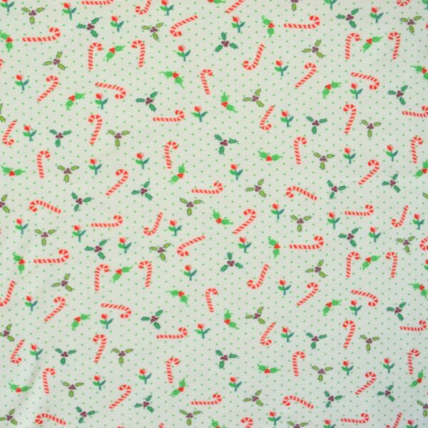 Pranava 100% Organic Candy printed Tee and Pant set for both Boys and Girls. - Image 2