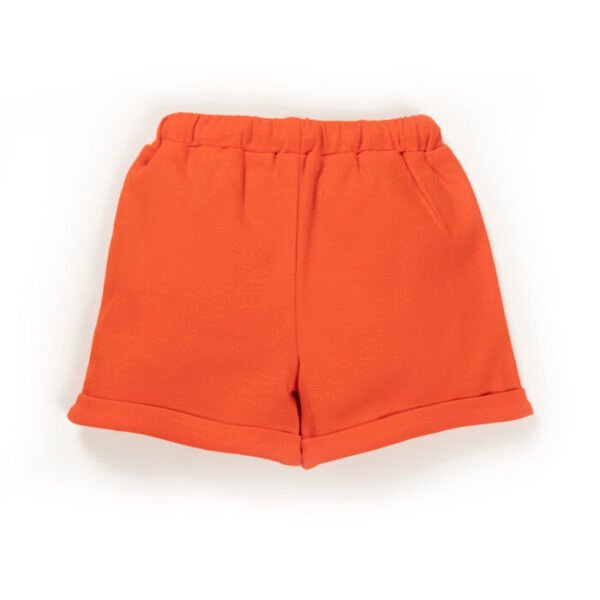 Baby Boys Graphic Printed 100% Organic Cotton Tee with Shorts- White and Orange - Image 3