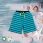 Kids Boys Stripes 100% Organic Cotton Shorts - Cerulean Blue