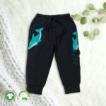 Kids Boys Graphic Printed PRANAVA 100% Organic Cotton Pants - Turquoise Blue