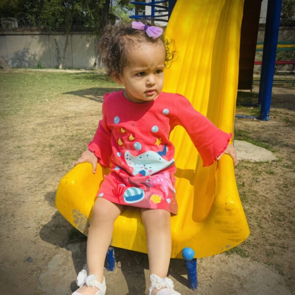 Kids Girls Embroidered Printed 100%Organic Cotton  A-Line dress - Pink - Image 1