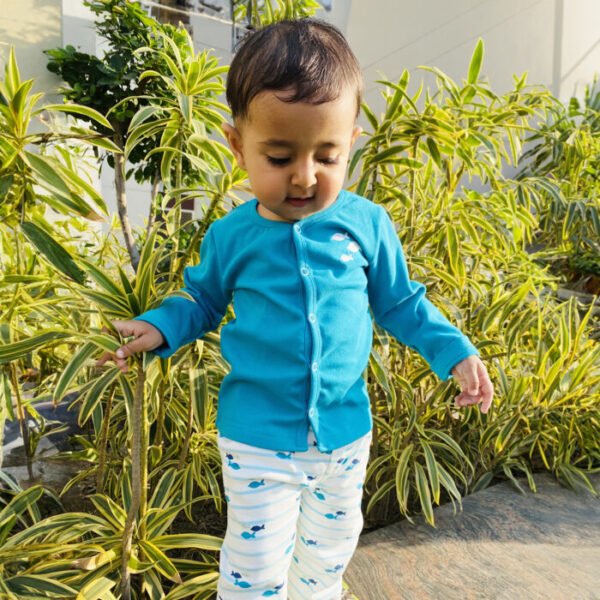 Website-4 Baby Boys Embroidered and Striped 100%Organic Cotton Top and Pant Set - Tiffany Blue and White - Image 1