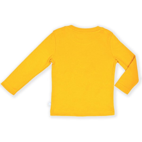 Modern Unisex Kids Wear 100% Organic Cotton Full Sleeve T-shirt with Frog & Mushroom Embroidered - Yellow - Image 3