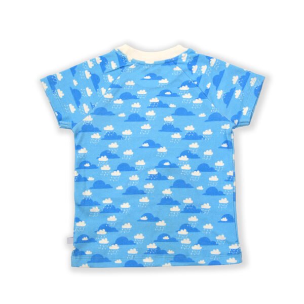Stylish Unisex Kids Wear 100% Organic Cotton Half Sleeve Raglan T-shirt with Umbrella & Frog Embroidered - Sky Blue - Image 3