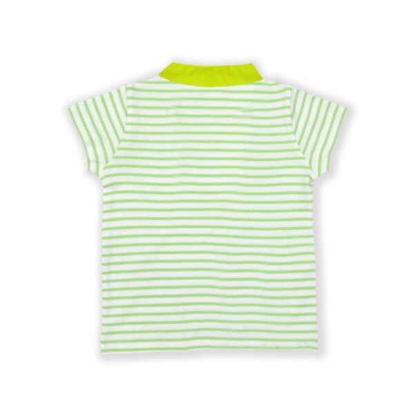 Fashionable Kids Wear for Boys 100% Organic Cotton Half Sleeve Stripes Polo T-shirt with Parrot Embroidered -  Green - Image 3