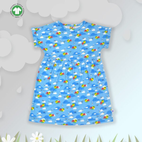 Trendy Baby Wear for Girls 100% Organic Cotton Yoke Frock with All Over Cloud and Birds Printed - Sky Blue - Image 1