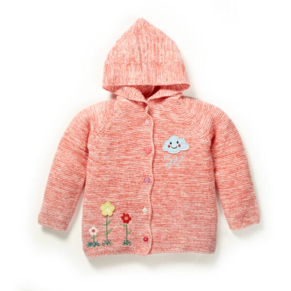 Girls Embroidered 100% Organic Cotton Hooded Sweater - Image 1