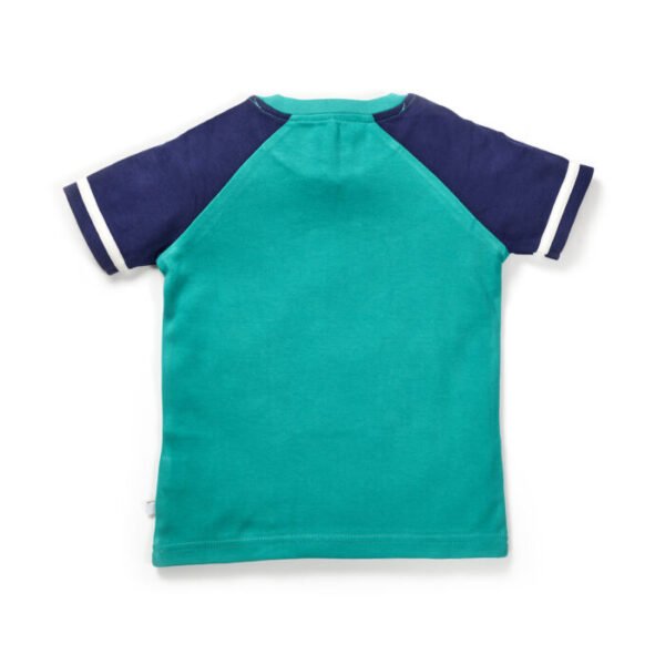 Boys Graphic Printed 100% Organic Cotton T-shirt - Image 2