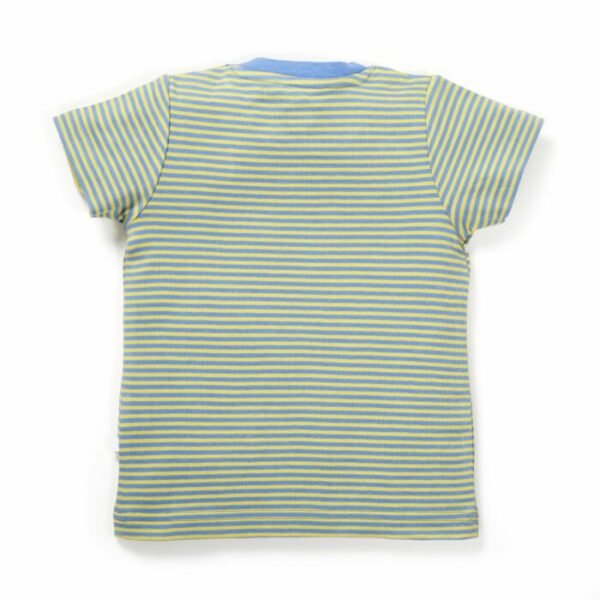 Boys Elephant & Panda Printed T-Shirt Combo - Image 9