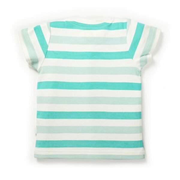 Boys Elephant & Turtle Printed T-Shirt Combo - Image 5