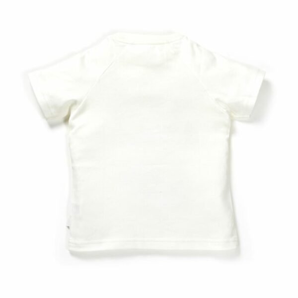 Boys Parachute Fun Print 100% Organic Cotton T-Shirt - Image 2