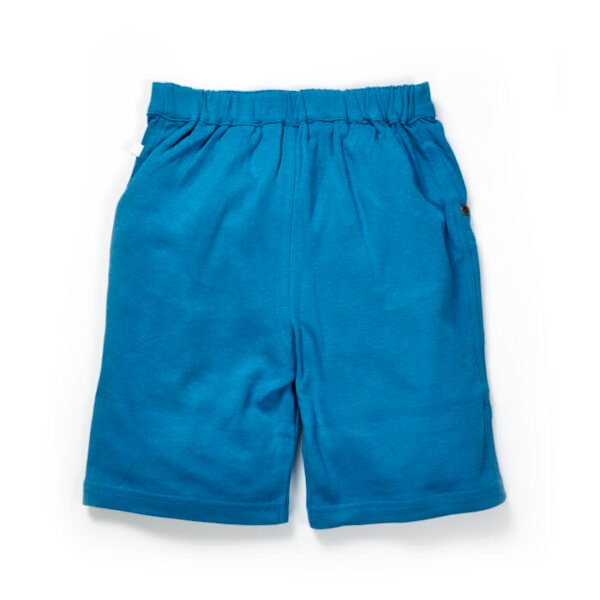 Boys Riders Embroidered 100% Organic Cotton Shorts - Image 3