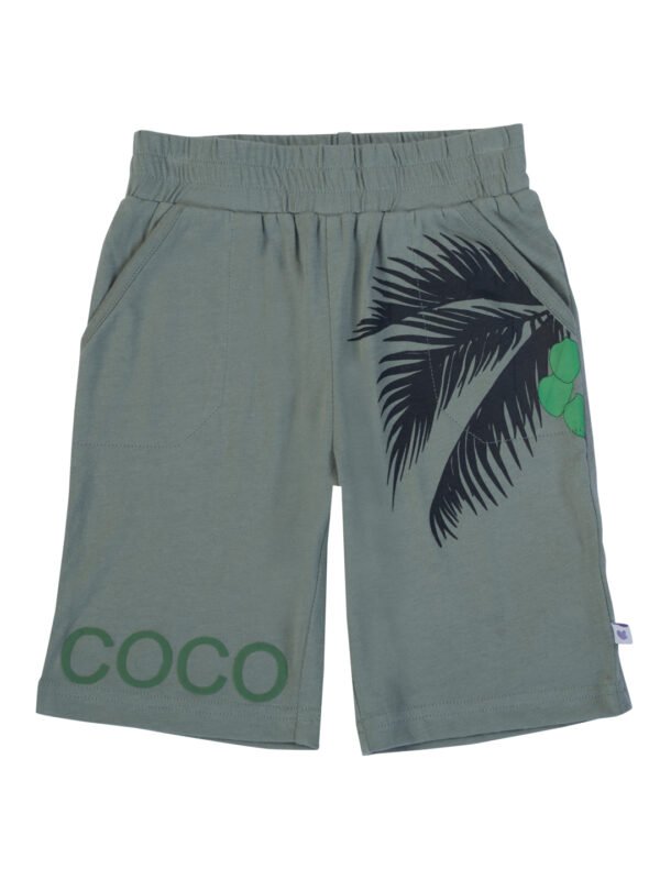 Boys Organic Cotton Single Jersey Lilypad Shorts - Image 2