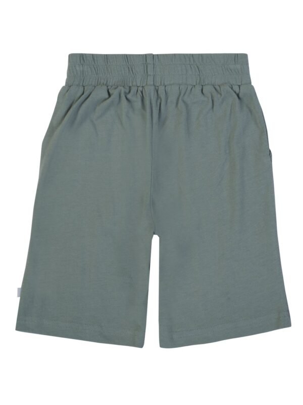 Boys Organic Cotton Single Jersey Lilypad Shorts - Image 3