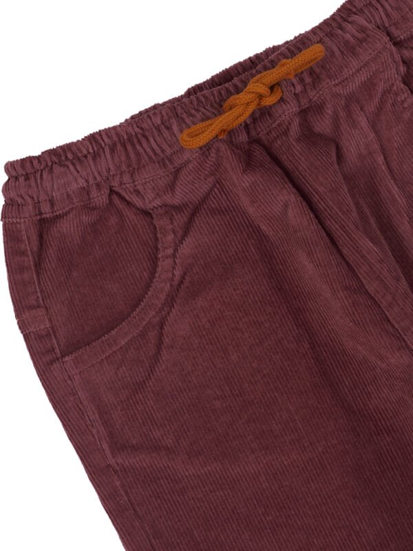 Pranava Unisex Organic Cotton Corduroy Full Length Solid Pant - Rhubarb Red - Image 6