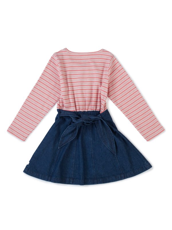 Girls Organic Cotton Knits & Denim Full Sleeve Swan Glitter Printed Frock - Pink & Blue - Image 5