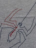 Boys Organic Cotton Single Jersey Short Sleeve Spider Print T-Shirt - Blue - Image 4