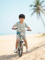 Boys Organic Cotton Woven Short Sleeve Vehical Embroidered Applique  Shirt & Shorts Set - Green - Image 4